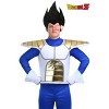 HalloweenCostumes.com Dragon Ball Z Saiyan Armor Adult Accessory - 2 of 3