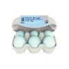 Signature Free Range Blue Eggs - 6ct - Good & Gather™ - 2 of 4