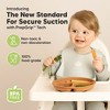 3-Pack Prep Suction Plates for Baby, 100% Silicone Toddler Plates, BPA-Free Divided Baby Plates with Suction - 2 of 4