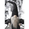 Gulches Decor: Lanterns, Ornaments, Pumpkins, Gnomes & Banners for Festive Indoor/Outdoor Decor - 4 of 4