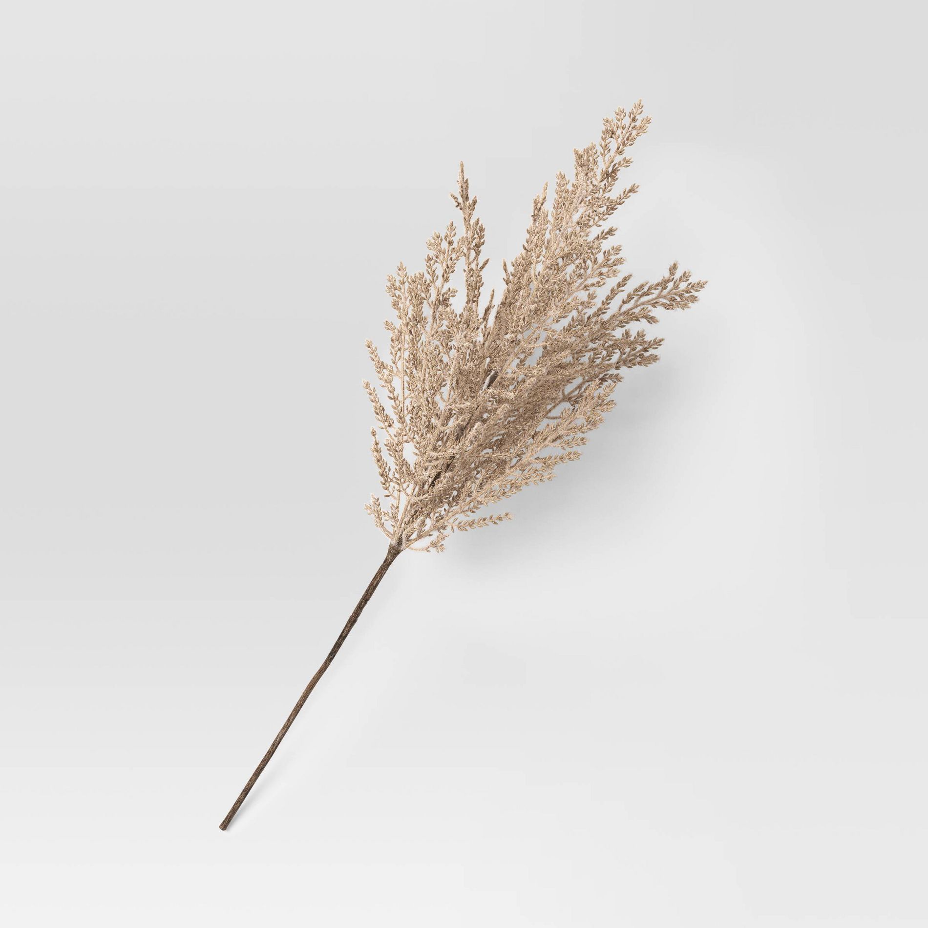 Tan Grass Stem - Room Essentials™