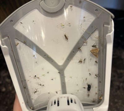 Guest review image 1 of 1, zoom in