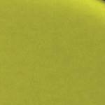 Black | Lime Green