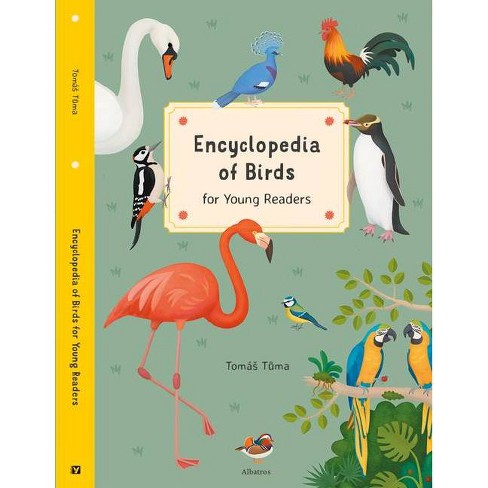 Birds - Birds - Animal Encyclopedia