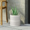 KWPZQEB Fluted Round Planter, Lightweight Concrete Plant Pot, Elegant Planters for Indoor Plants with Drainage Hole for Garden, Patio, Home, White - 3 of 4