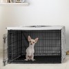 Sweet Jojo Designs Dog Crate Kennel Cover 24in. Celestial Blue Gold and Grey - 2 of 4