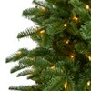 Nearly Natural 6-ft South Carolina Fir Artificial Christmas Tree with 450 Clear Lights and 1598 Bendable Branches - 3 of 4