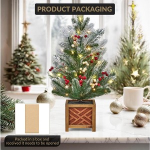 24 Inch Small Christmas Tree,  Wooden Base & Red White Berries, Frosted Lighted Artificial Tree for Home Table Party Holiday Decoration - 1 of 4