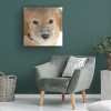 Trademark Fine Art - Stephen Goodhue Snow Nose Golden I Canvas Art - 3 of 4