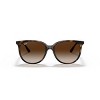 Ray-Ban RB4378 54mm Female Square Sunglasses - 2 of 4
