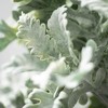 Sullivans Artificial 17" Dusty Miller Bush, Green - 2 of 2