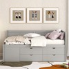 NicBex Twin/Full Size Wood Daybed with Shelves and 4 Drawers for Bedroom,Living Room,Apartment - 2 of 4