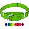 Country Brook Petz Reflective Nylon Martingale Dog Collar - 3 of 4