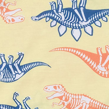 skeleton dinos