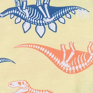 skeleton dinos