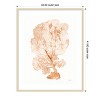 Amanti Art Shibori Coral II Peach by Mary Urban Wood Framed Wall Art Print - 4 of 4