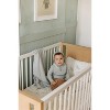 Ely's & Co. - Butterfly/Dragonfly & Stripe Crib Bedding Set - 2 of 4