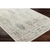Hauteloom Mehta Area Rug - 3 of 4