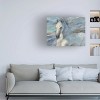 Trademark Fine Art -Albena Hristova 'Poseidon White Horse' Canvas Art - 2 of 4