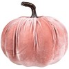 Northlight Fall Harvest Velour Pumpkin Decoration - 6.25" - Rouge Pink - 4 of 4