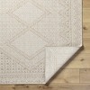 Hauteloom Chaman Living Room, Bedroom Patio Outdoor Area Rug - Traditional, Transitional - 3 of 4