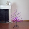 Northlight 4' Pre-Lit Sakura Cherry Blossom Flower Artificial Tree - Pink LED Lights - 2 of 4