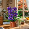 808PCS Flowers Botanicals Iris Building Set Artificial Purple Plant for Home Office Décor for Adults and Kids Aged 12+ - 4 of 4