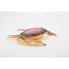 Collectible Wildlife Gifts | Crab, Dungeness Crab, Rubber, Crustaceans, Realistic, Hand Painted,  Figurine,  Gift,        3 1/2"     F6001 B378 - 4 of 4