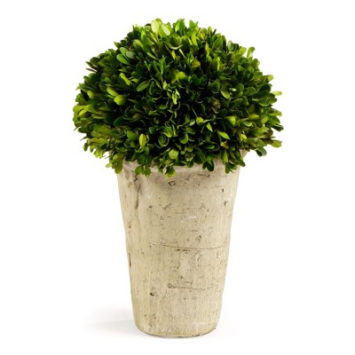 Plum & Post Boxwood Three-Quarter Faux (Fake) Ball In Pot