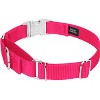 Country Brook Petz Heavyduty Nylon Martingale with Premium Buckle - 3 of 4