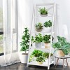 Costway 1PC/2PCS Ladder Shelf 4-Tier Bookshelf Bookcase Storage Display Plant Leaning Black/White - 4 of 4