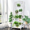 Costway Set of 2 Ladder Shelf 4-Tier Bookshelf Bookcase Storage Display Plant Leaning - image 4 of 4