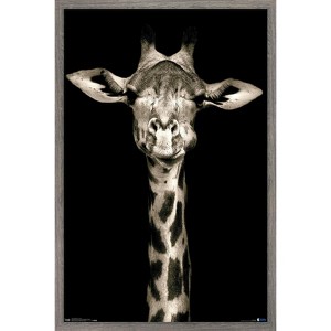 Trends International Portrait of a Giraffe Framed Wall Poster Prints - 1 of 4