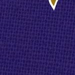 baltimore ravens