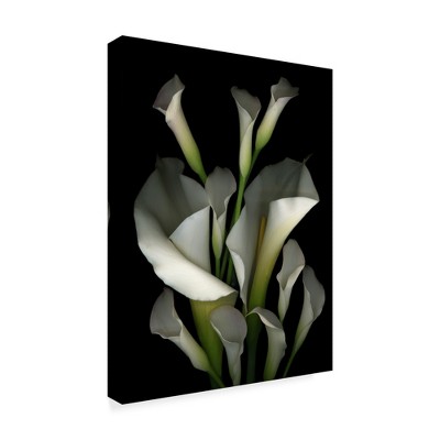Trademark Fine Art -Susan S. Barmon 'White And Crystal Blue Callas 2' Canvas Art