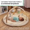 Ingenuity Every Season Plush Lambswool Activity Gym - 4 of 4