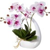 Dahlia Studios Potted Faux Artificial Flowers Realistic Pink White Phalaenopsis Orchid in Pot Home Decoration Living Room 13" High - 2 of 4