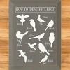 Slickblue Bird Guide Wooden Sign, Knotty Pine 9x12 Inch Wall Decor, Rustic Style, Color Options - 2 of 3