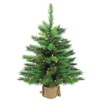 Northlight 3' Prelit Artificial Christmas Tree New Carolina Spruce - Clear Lights