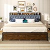 Dexmalle Metal Platform Bed Frame with 2 Storage Drawers and Charging Station & LED Lights - 3 of 4