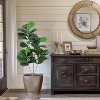Fiddle Leaf Fig Artificial Tree Faux Floor Plant with Black Planter Pot, Potted Fake Fiddle Leaf Fig Tree for Indoor Outdoor Home Office Decor - 3 of 4
