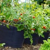 FCMP Outdoor 5 Gallon Modern Lightweight Non Woven Insulating Fabric Breathable Grow Bags for Indoor or Outdoor Gardening, Multicolor (5 Pack) - 4 of 4