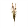 Foxtail Grass Bush (Set of 6) - 3 of 3