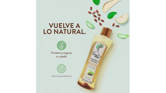 Arbol Verde Hair Thickening Shampoo with Hispanic Herbs - 16.9 fl oz, 2 of 8, play video