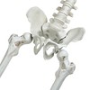 Yescom 2PCS Pirate Life Size Skeleton Poseable Halloween Party Decoration 2025 - 3 of 4