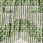 green/cream