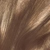 Dia Richesse # 6.01 - Dark Natural Ash Blonde by L'Oreal Professional for  Unisex - 1.7 oz Hair Color