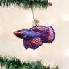 Old World Christmas Glass Blown Ornament For Christmas Tree, Betta Fish - 2 of 2