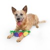 BARK 1.75" Howly Jowly Holidays Merry & Bite Lights Plush Rope Dog Toy - 4 of 4