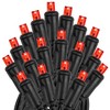 Novelty Lights 50 Light LED Christmas Mini Light Set (Black Wire, 11 Feet) - 4 of 4